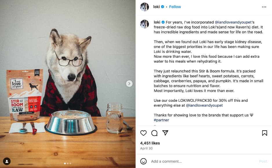 influencer in the pet market loki